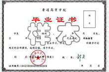 网络教育毕业证模板